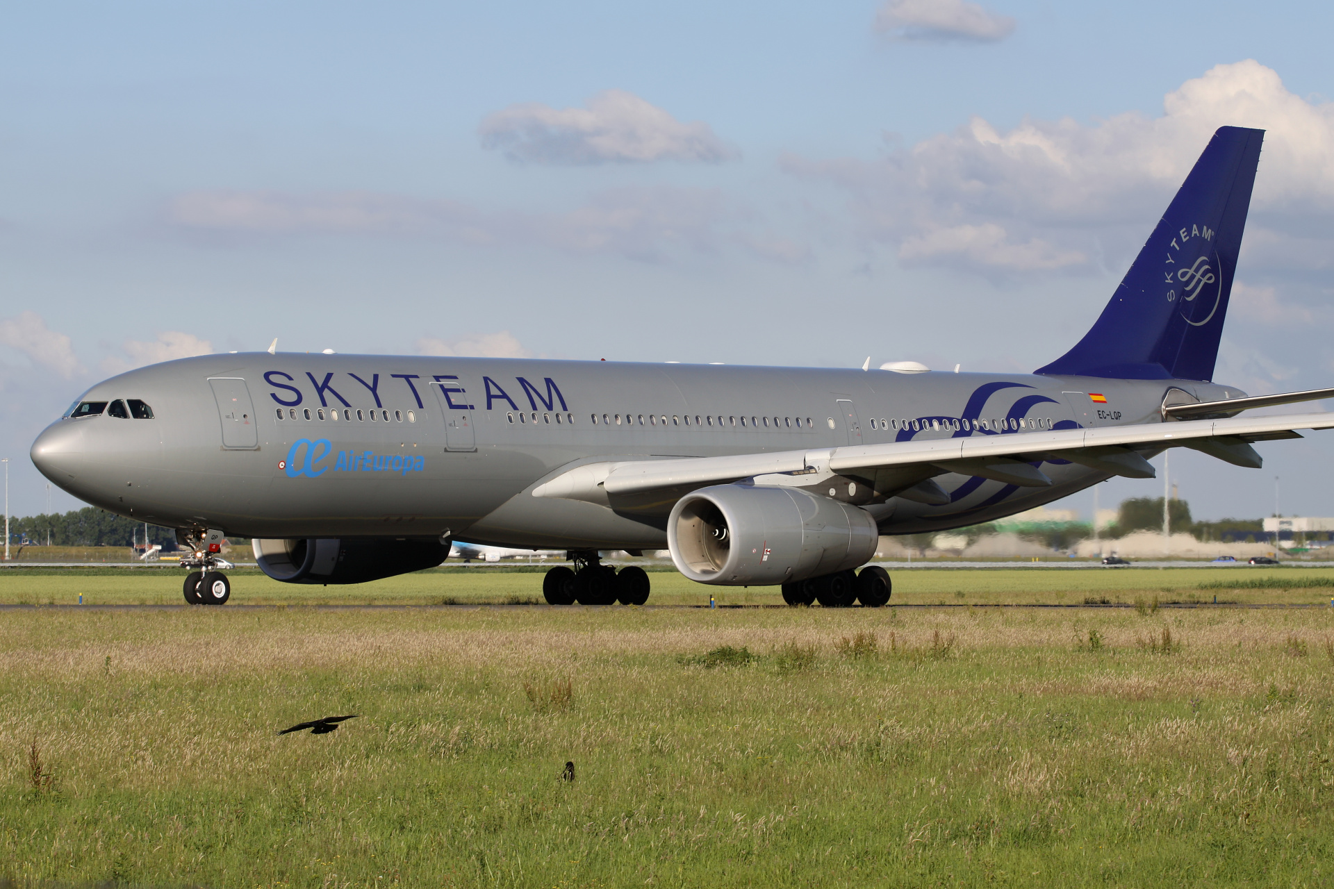 EC-LQP (SkyTeam livery) (Aircraft » Schiphol Spotting » Airbus A330-200 » AirEuropa)