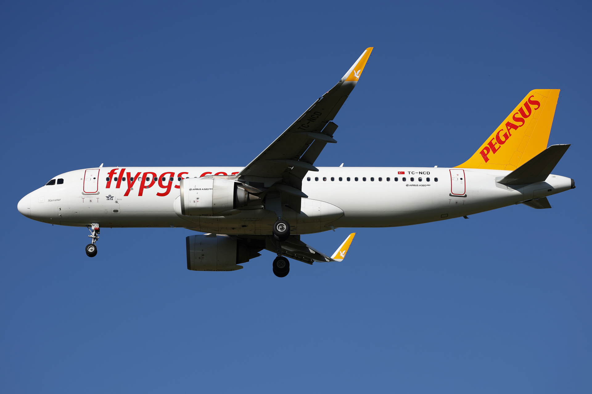 TC-NCD (Aircraft » EPWA Spotting » Airbus A320neo » Pegasus Airlines)