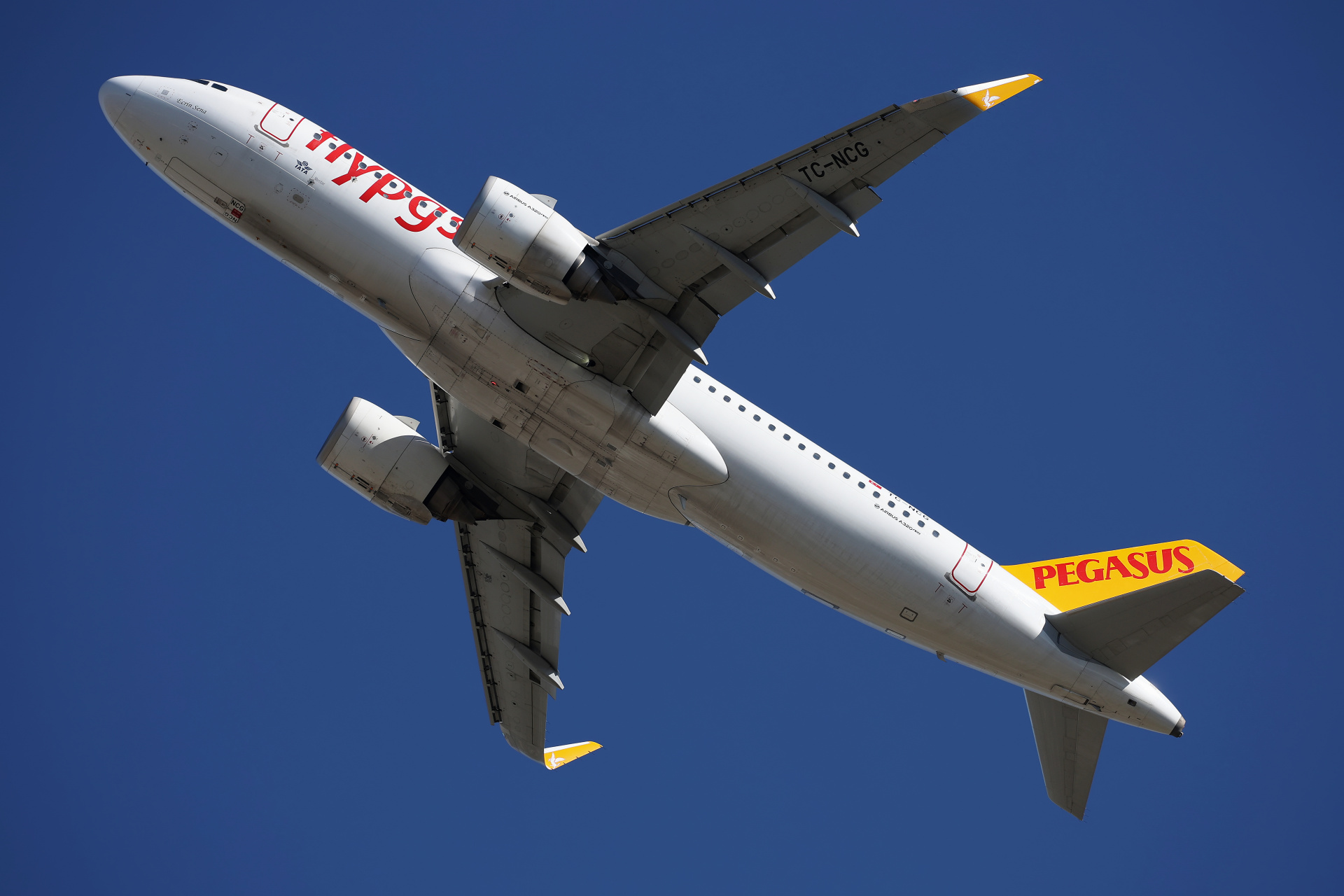 TC-NCG (Aircraft » EPWA Spotting » Airbus A320neo » Pegasus Airlines)