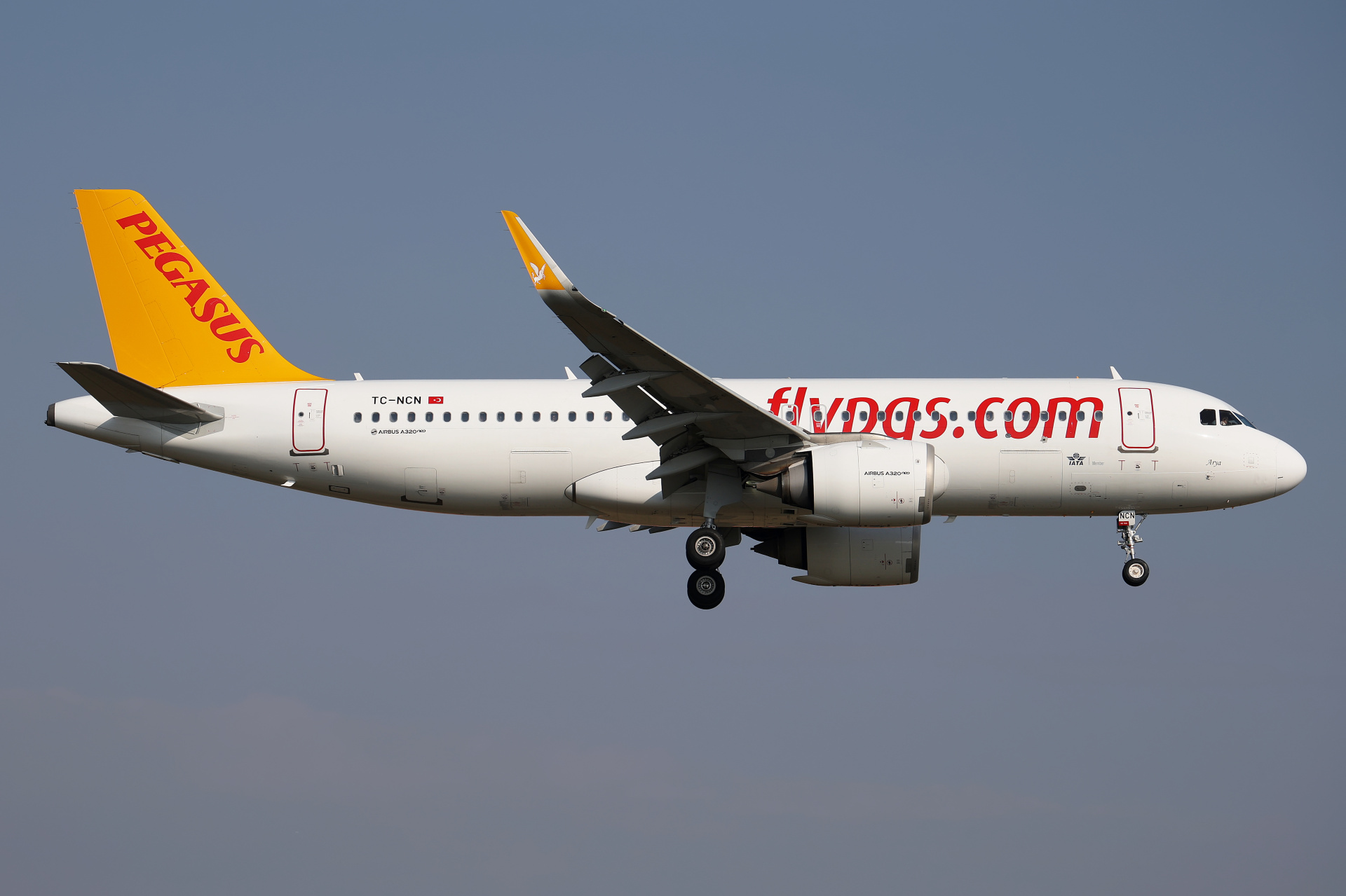 TC-NCN (Aircraft » EPWA Spotting » Airbus A320neo » Pegasus Airlines)