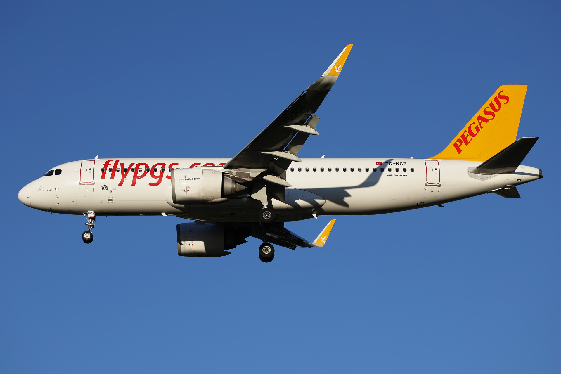 TC-NCZ (Aircraft » EPWA Spotting » Airbus A320neo » Pegasus Airlines)
