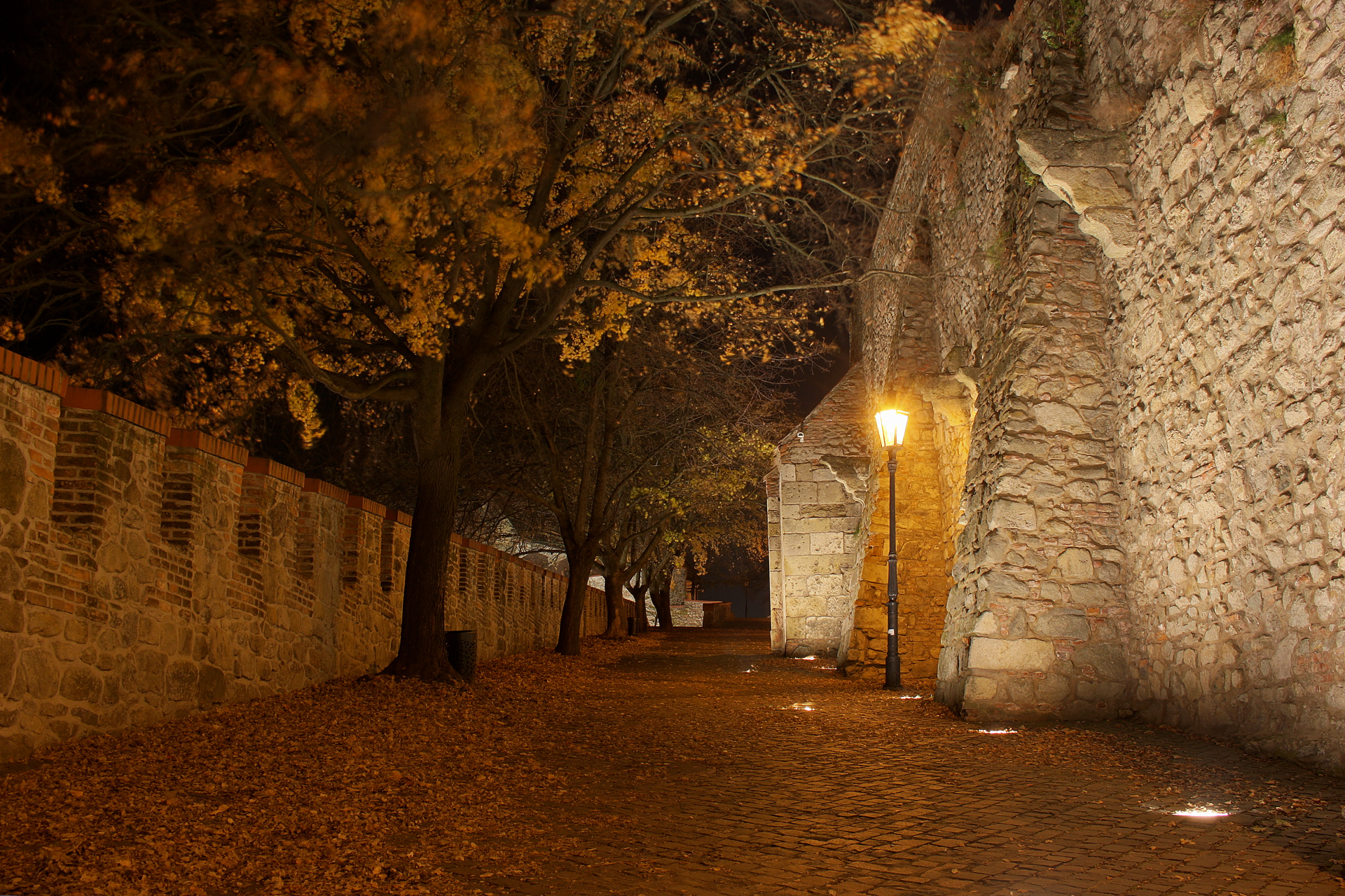 Wspinaczka wzdłuż murów obronnych (Podróże » Bratysława » Miasto w nocy)