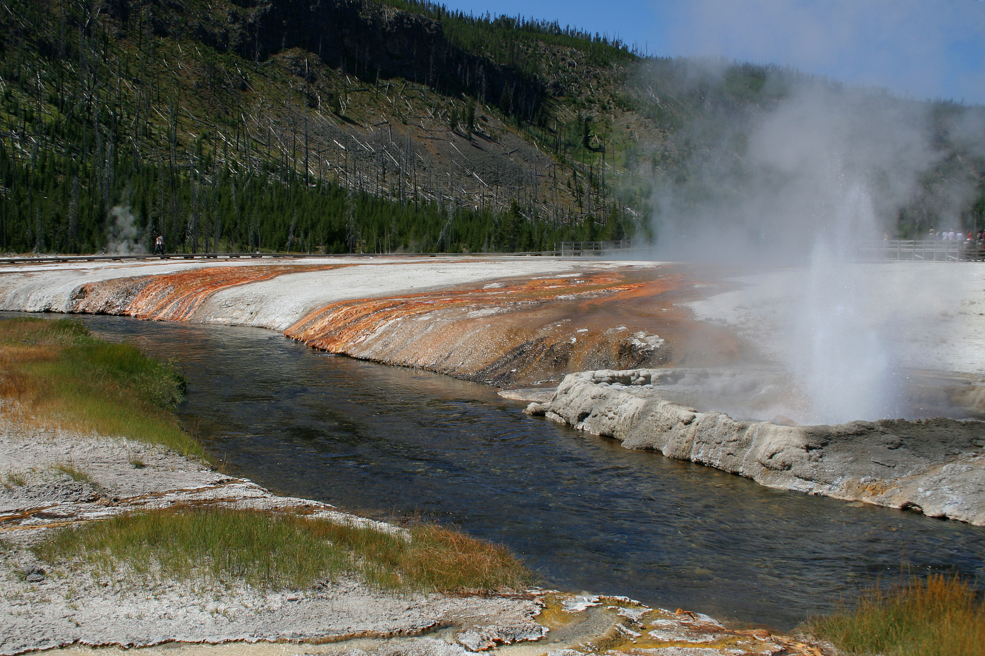 Cliff Geyser and Iron Spring Creek (Travels » US Trip 1: Cheyenne Country » The Journey » Yellowstone National Park » Geysers, Hot Springs and Lakes » Black Sand Basin)