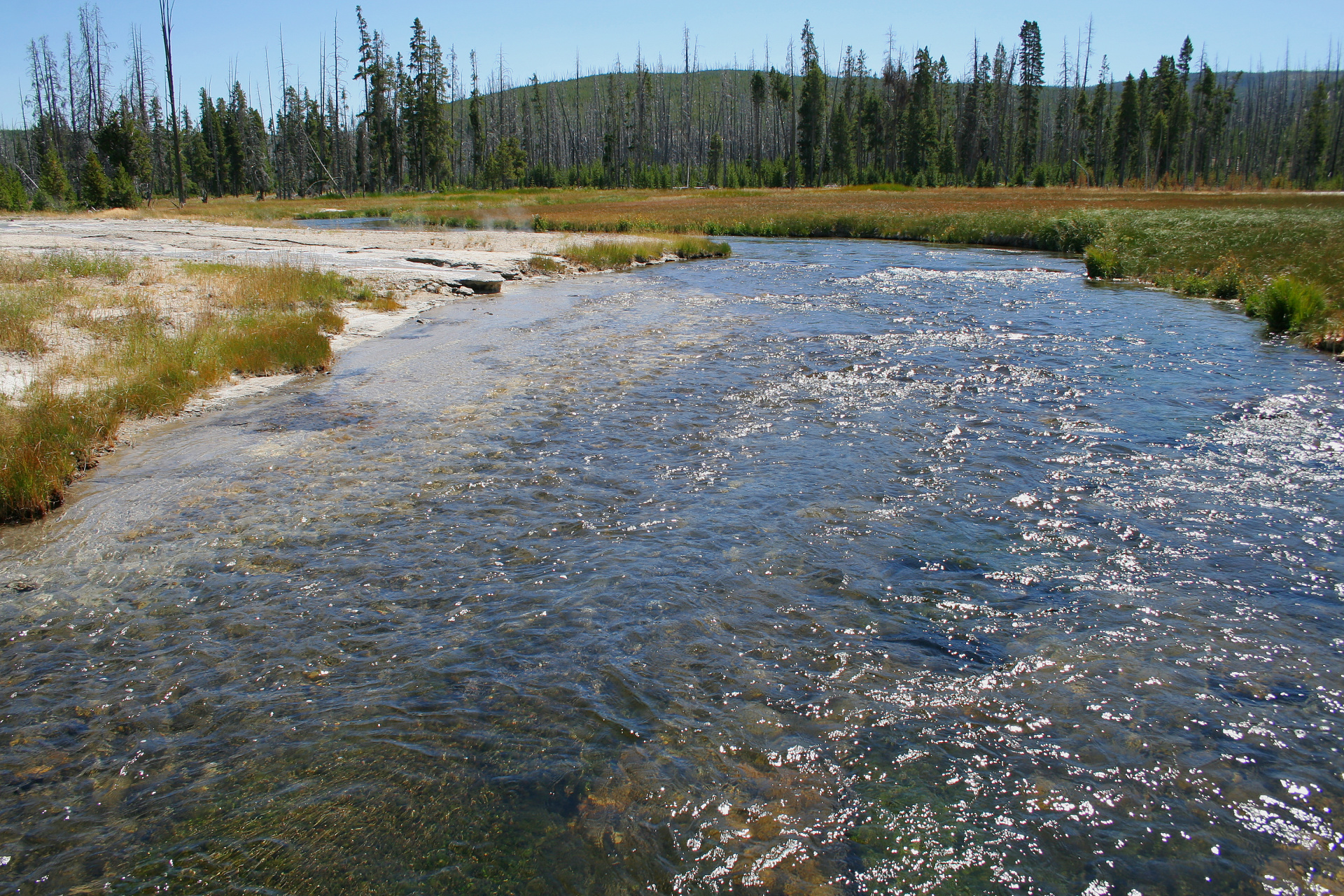 Iron Spring Creek (Travels » US Trip 1: Cheyenne Country » The Journey » Yellowstone National Park » Geysers, Hot Springs and Lakes » Black Sand Basin)
