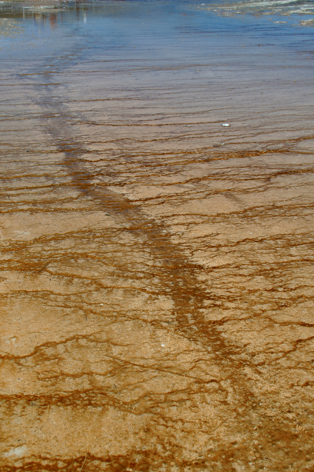 Minerały (Podróże » USA: Na ziemi Czejenów » Wielka Podróż » Park Narodowy Yellowstone » Gejzery, gorące źródła i jeziora » Black Sand Basin)