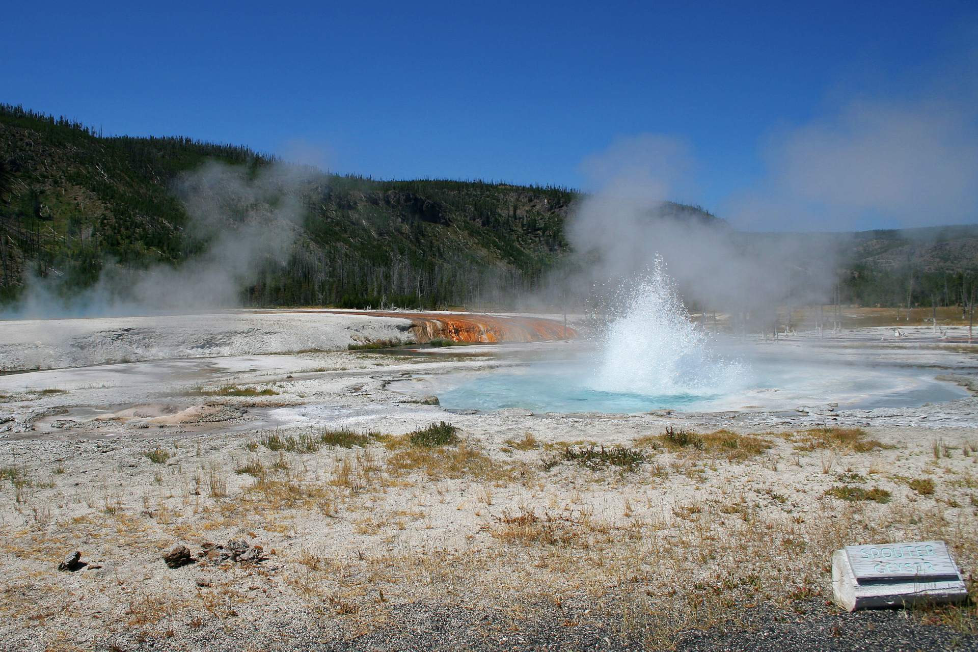 Spouter Geyser (Podróże » USA: Na ziemi Czejenów » Wielka Podróż » Park Narodowy Yellowstone » Gejzery, gorące źródła i jeziora » Black Sand Basin)