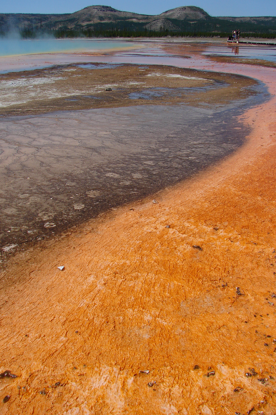 Grand Prismatic Spring (Travels » US Trip 1: Cheyenne Country » The Journey » Yellowstone National Park » Geysers, Hot Springs and Lakes » Midway Geyser Basin)