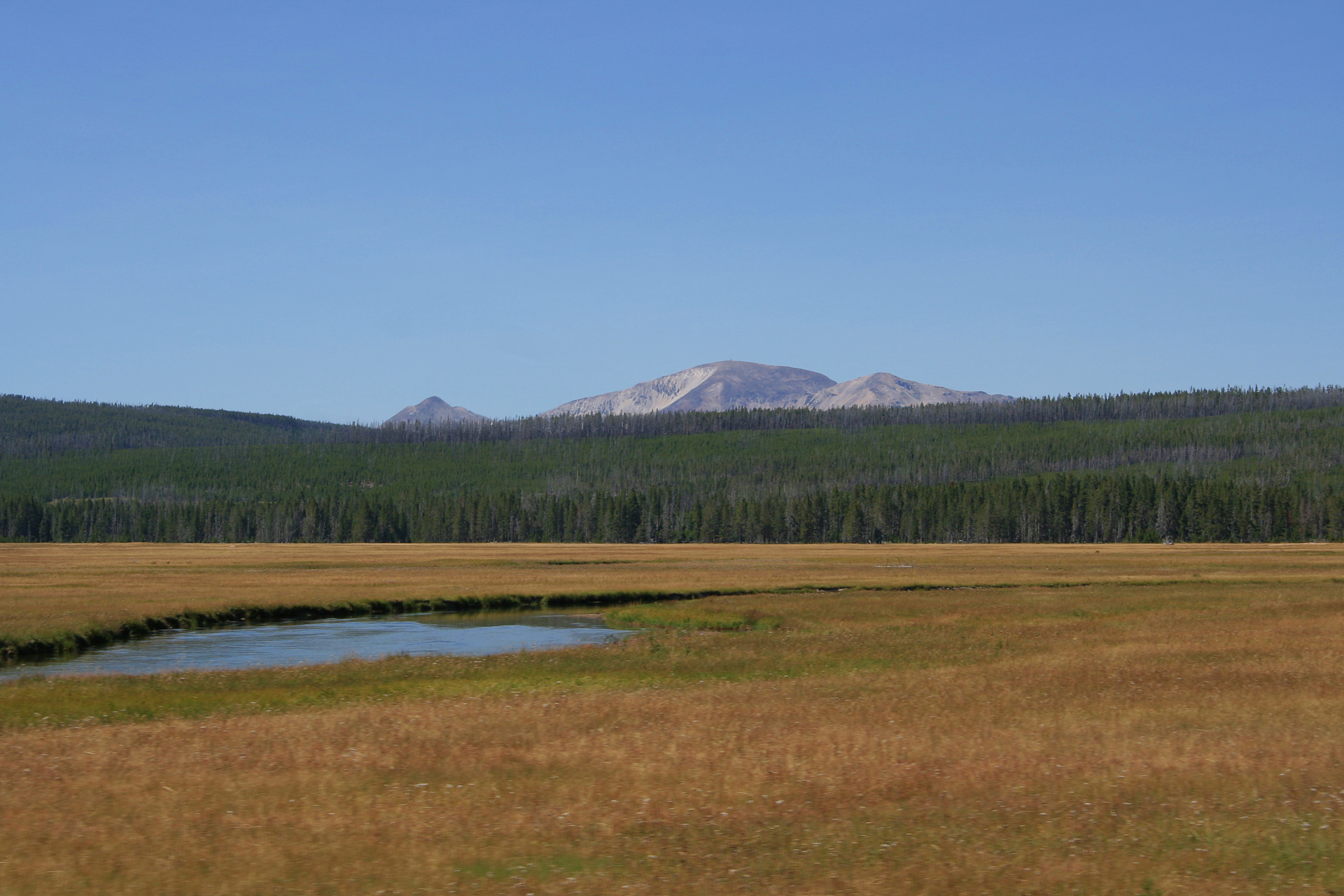 Gibbon River i Mount Holmes (Podróże » USA: Na ziemi Czejenów » Wielka Podróż » Park Narodowy Yellowstone)
