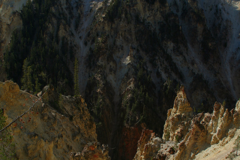 Wielki Kanion Yellowstone z Artist Point