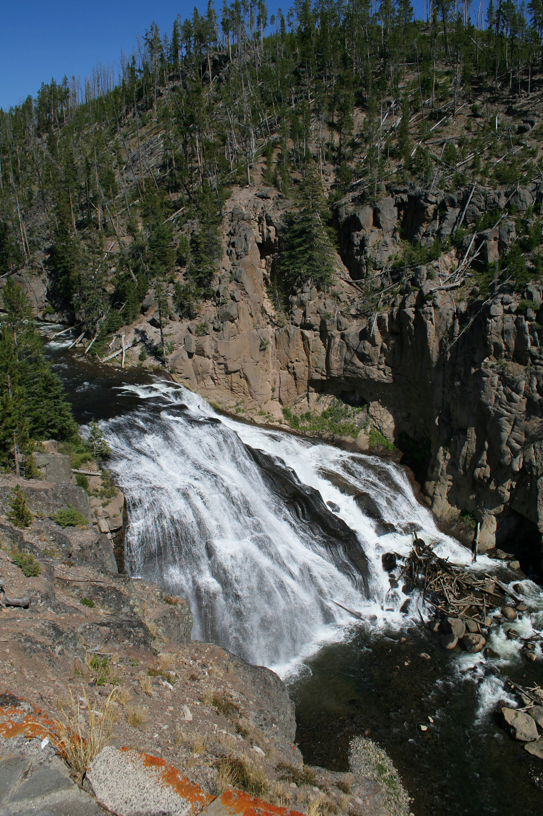 Gibbon Falls (Podróże » USA: Na ziemi Czejenów » Wielka Podróż » Park Narodowy Yellowstone » Wodospady)