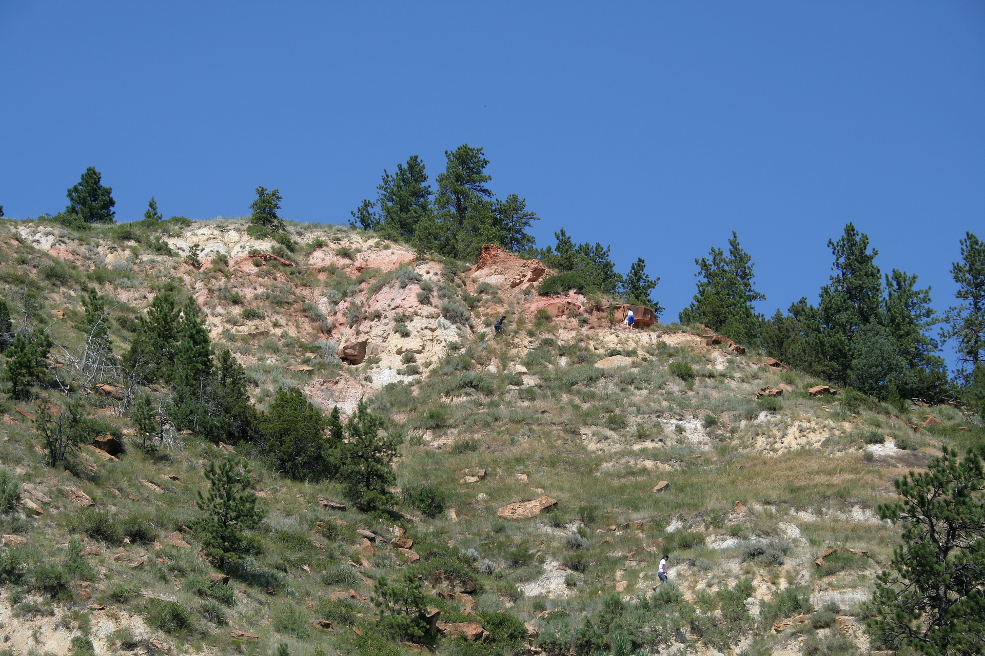 Looking for Paint (Travels » US Trip 1: Cheyenne Country » The Rez » Ashland, Tongue River and Logging Creek)