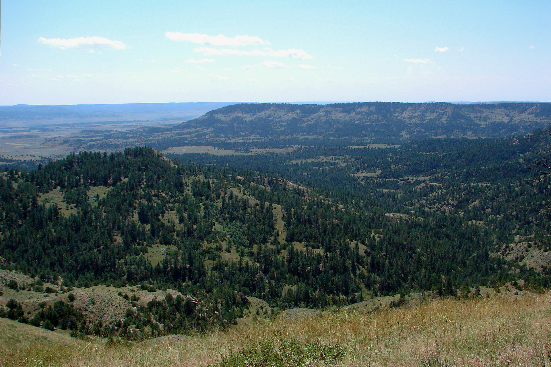 Cheyenne Land (Travels » US Trip 1: Cheyenne Country » The Rez » Kelty Ridge)