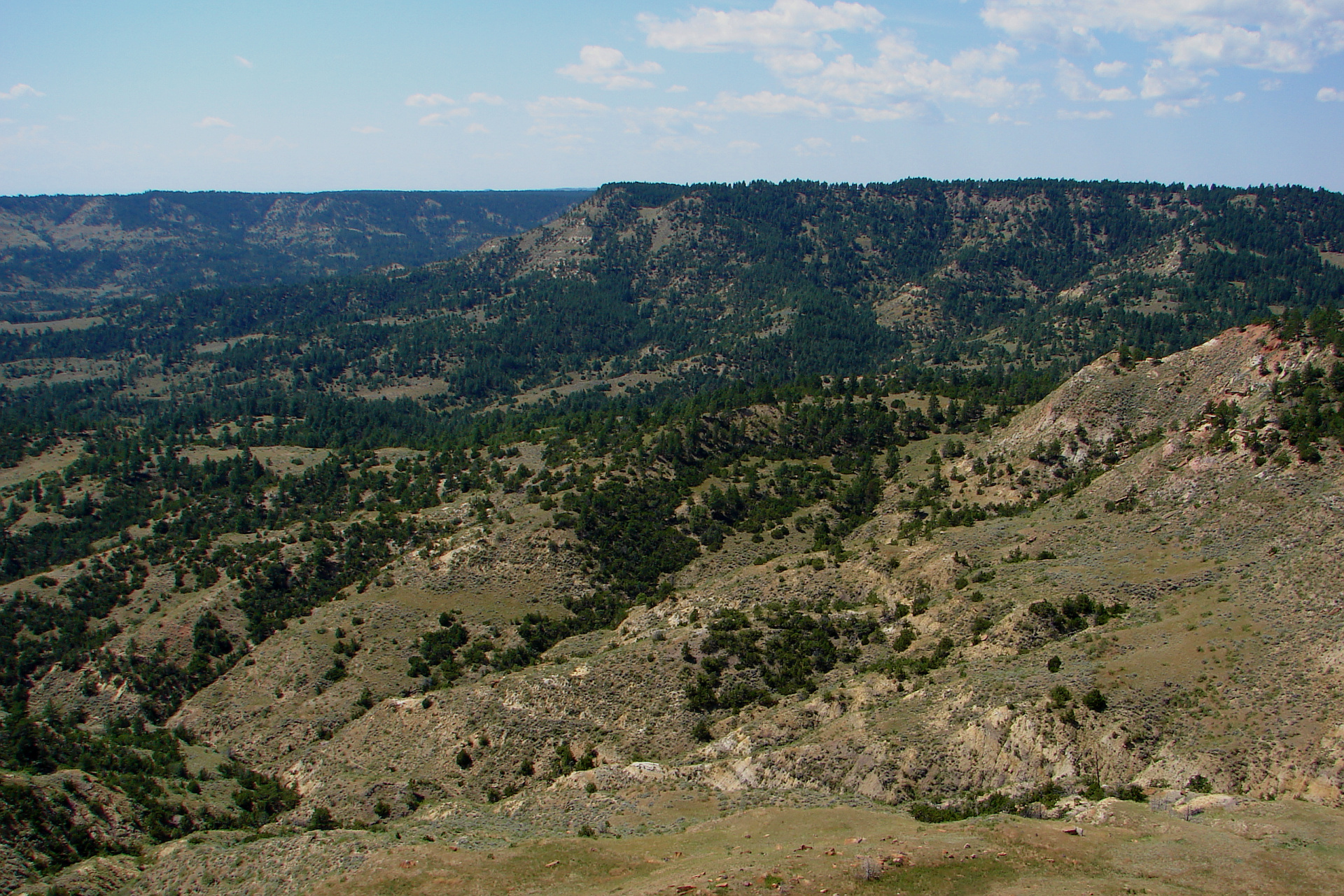 Looking Back towards Birney Divide (Travels » US Trip 1: Cheyenne Country » The Rez » Kelty Ridge)