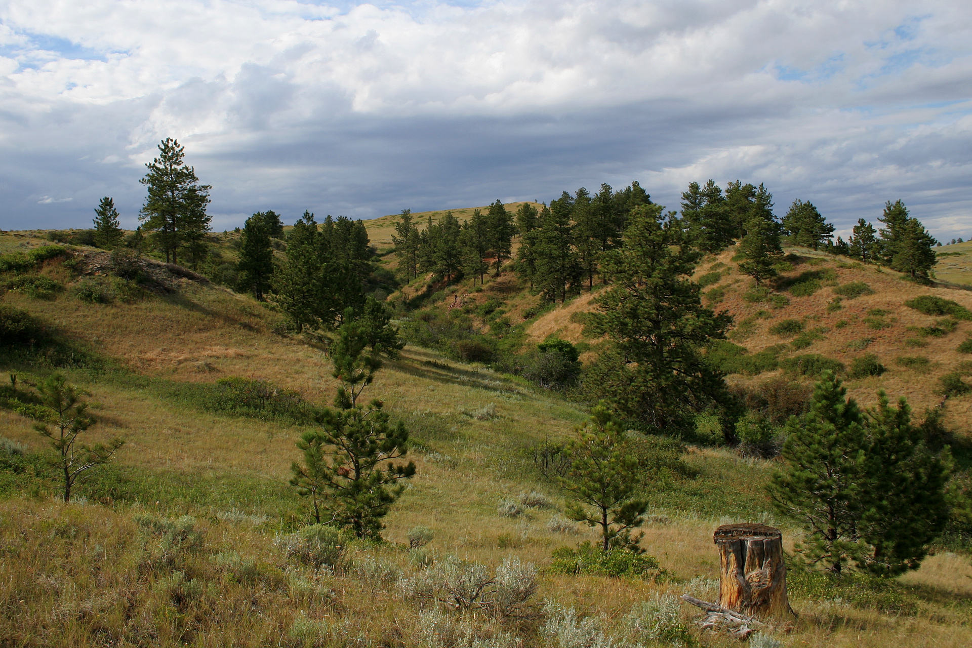 Battlefield - West (Travels » US Trip 1: Cheyenne Country » The Rez » Rosebud Battlefield)