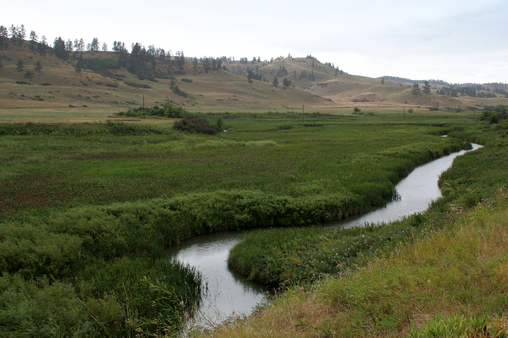 Rosebud Creek (Travels » US Trip 1: Cheyenne Country » The Rez » Rosebud Battlefield)