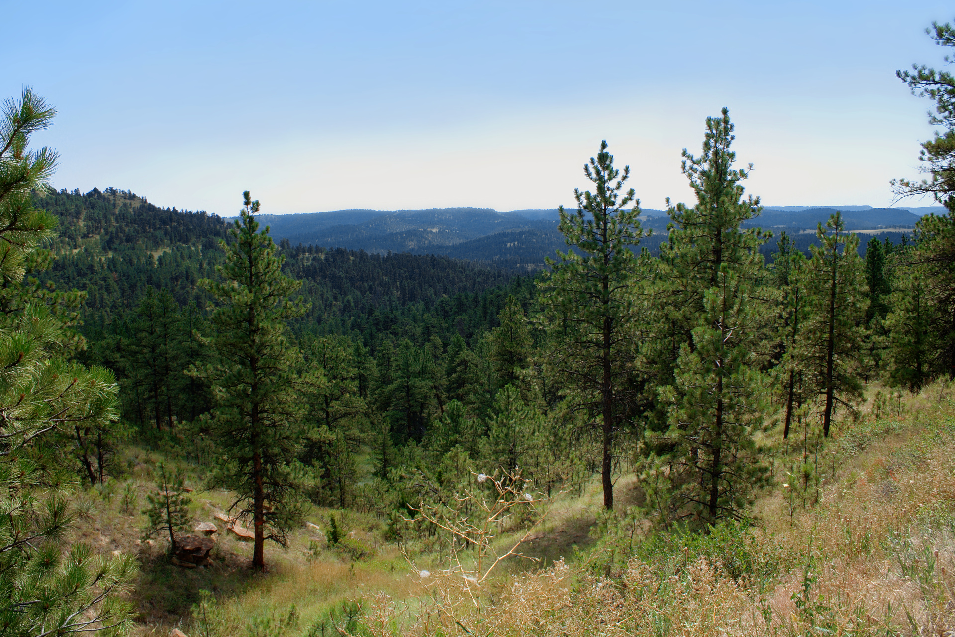 Skyline Drive (Travels » US Trip 1: Cheyenne Country » The Rez)