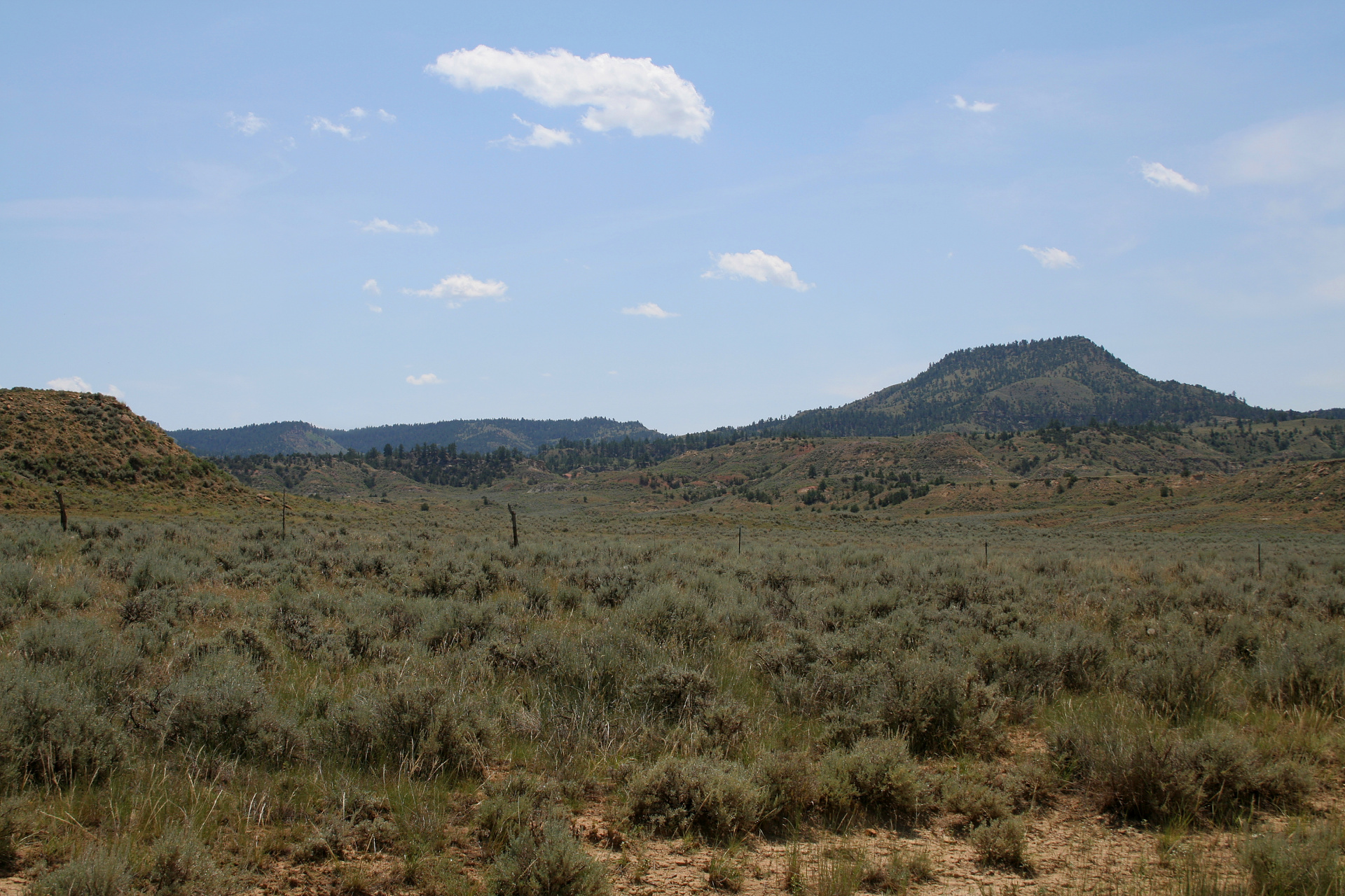 Browns Mountain w pobliżu Birney (Podróże » USA: Epopeja Czejeńska » Cheyenne Epic » Battle of the Butte (Wolf Mountain))