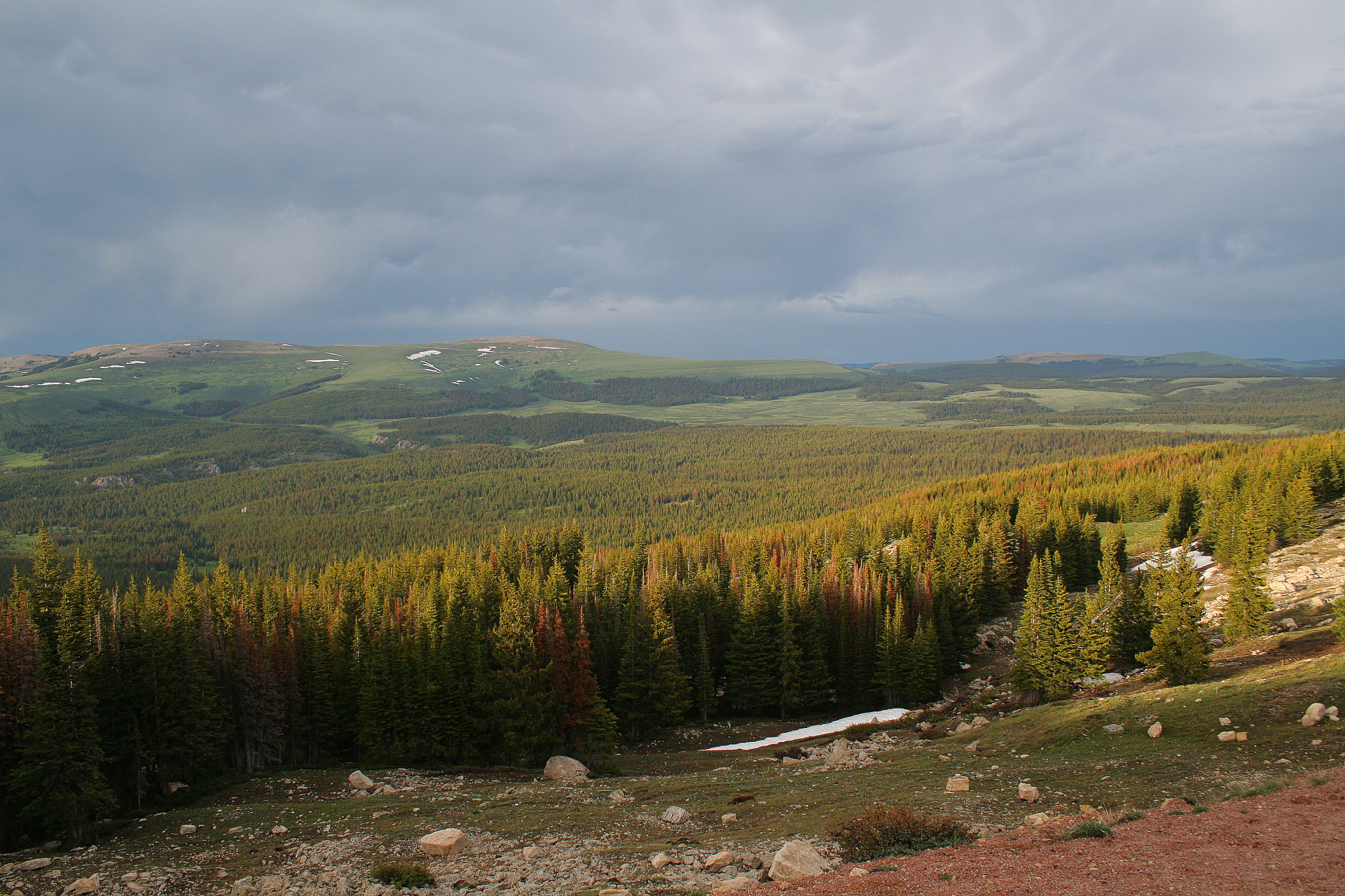 View Northeast from the Road to the Wheel (Travels » US Trip 2: Cheyenne Epic » The Country » Bighorn Mountains)