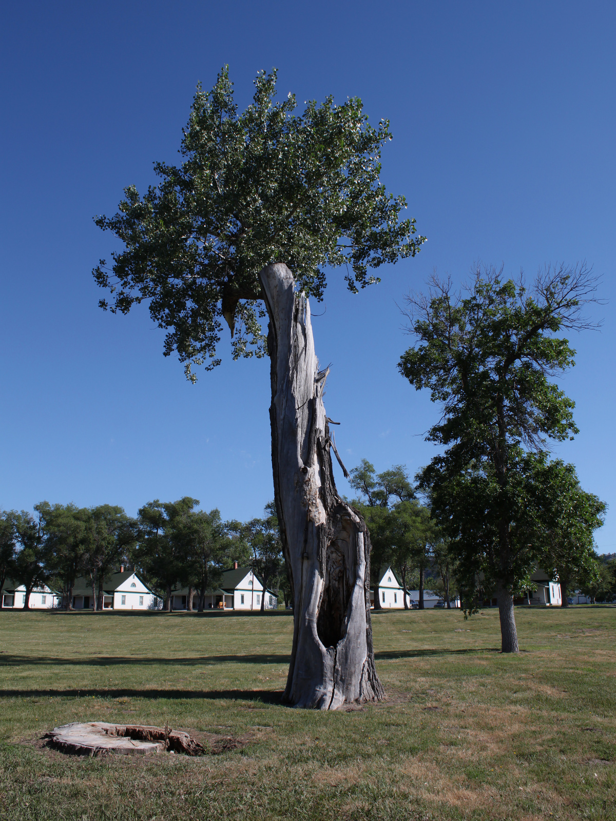 Nieustępliwy (Podróże » USA: Drogi nie obrane » Okolica » Fort Robinson)