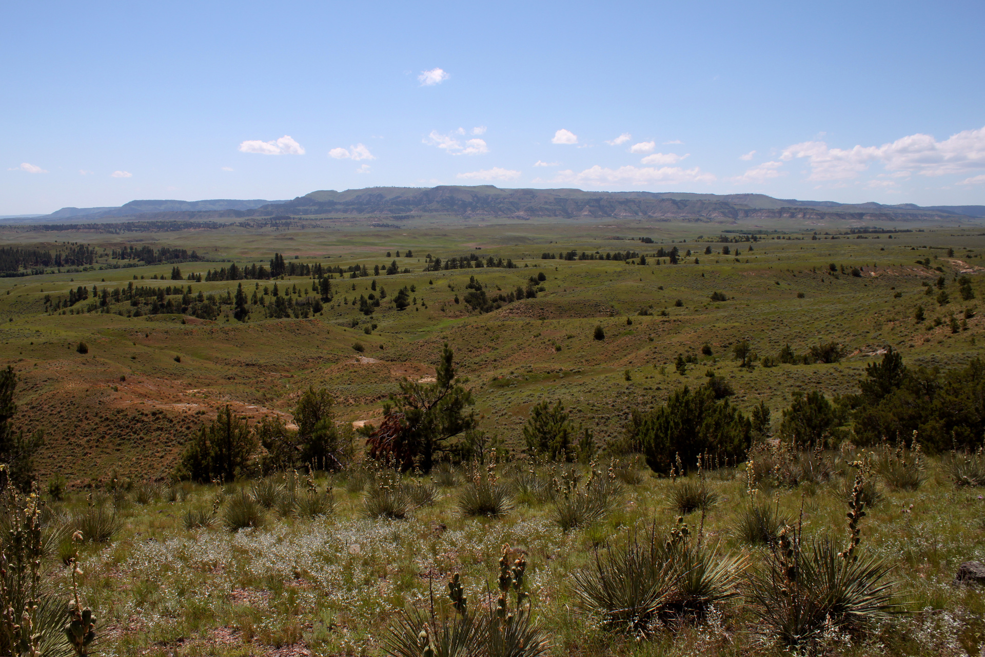 Ashland Flats (Travels » US Trip 3: The Roads Not Taken » The Rez » Ashland, Tongue River Valley and Birney Divide)