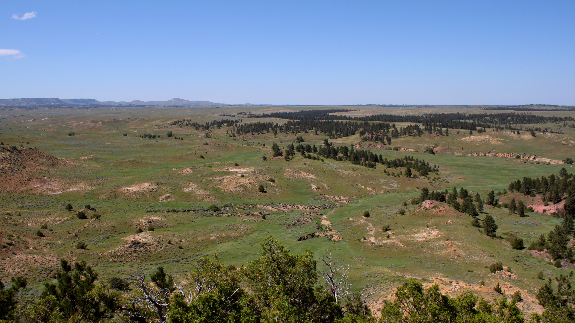 Ashland Flats (Travels » US Trip 3: The Roads Not Taken » The Rez » Ashland, Tongue River Valley and Birney Divide)