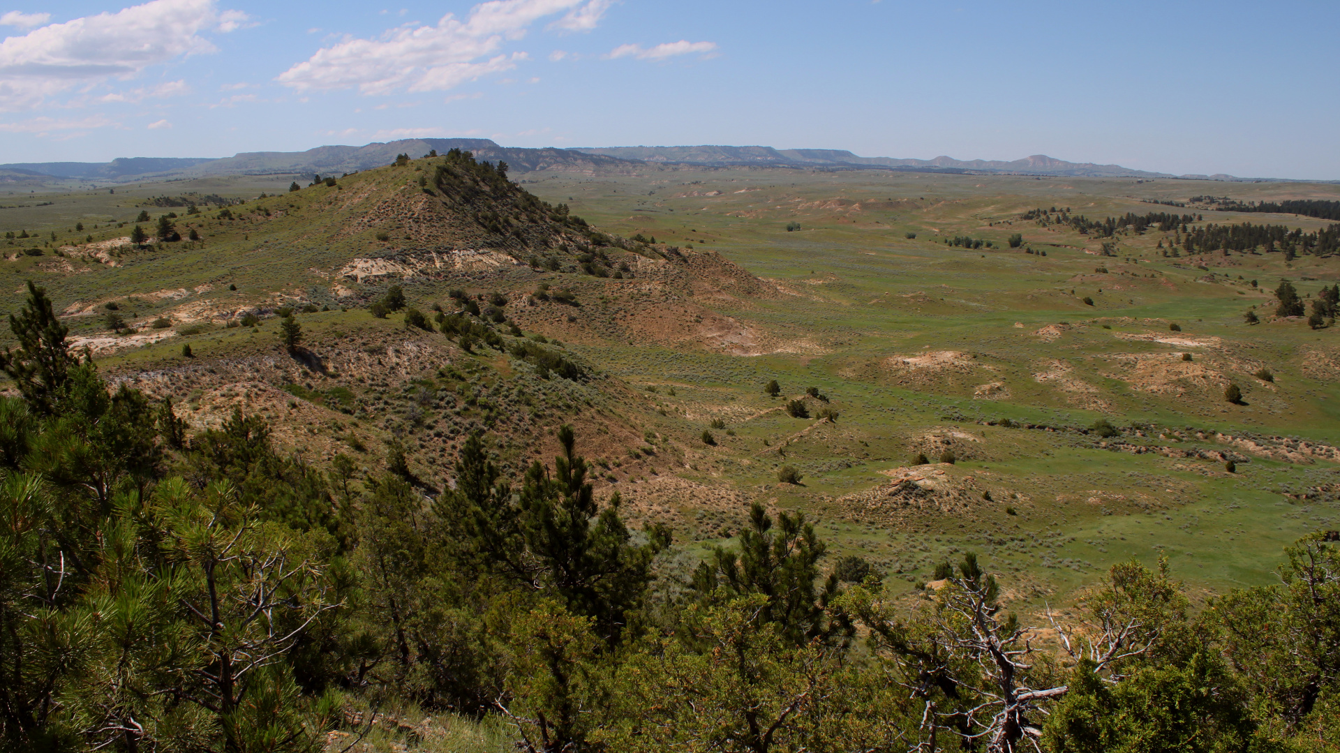 Ashland Flats (Travels » US Trip 3: The Roads Not Taken » The Rez » Ashland, Tongue River Valley and Birney Divide)