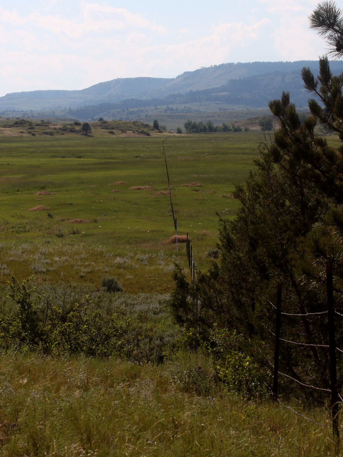 Tribal Land (Travels » US Trip 3: The Roads Not Taken » The Rez » Ashland, Tongue River Valley and Birney Divide)