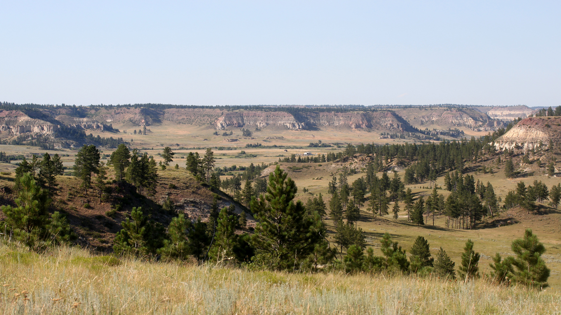 Cheyenne Lands: Rosebud Creek (Travels » US Trip 3: The Roads Not Taken » The Rez)