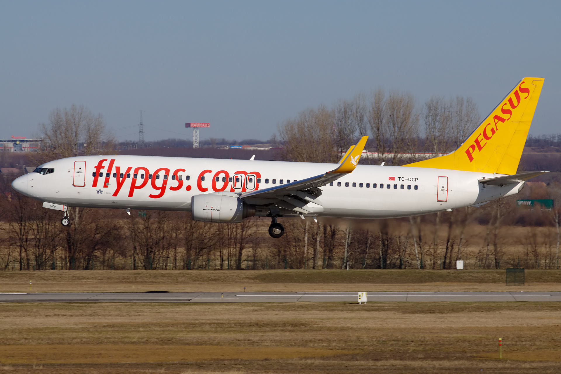 TC-CCP, Pegasus Airlines (Samoloty » Spotting na Ferihegy » Boeing 737-800)
