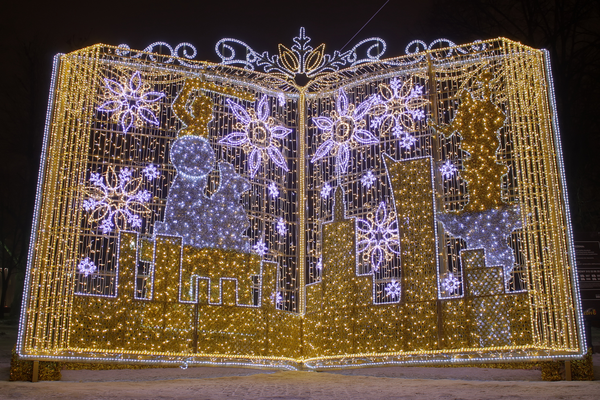 IMG_1648 (Warsaw » Christmas Illumination)