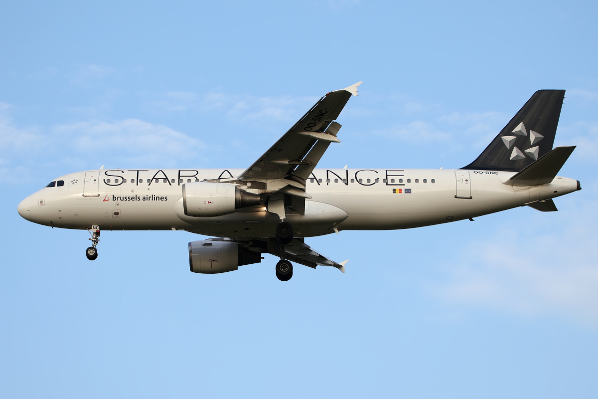 OO-SNC (malowanie Star Alliance) (Samoloty » Spotting na EPWA » Airbus A320-200 » Brussels Airlines)