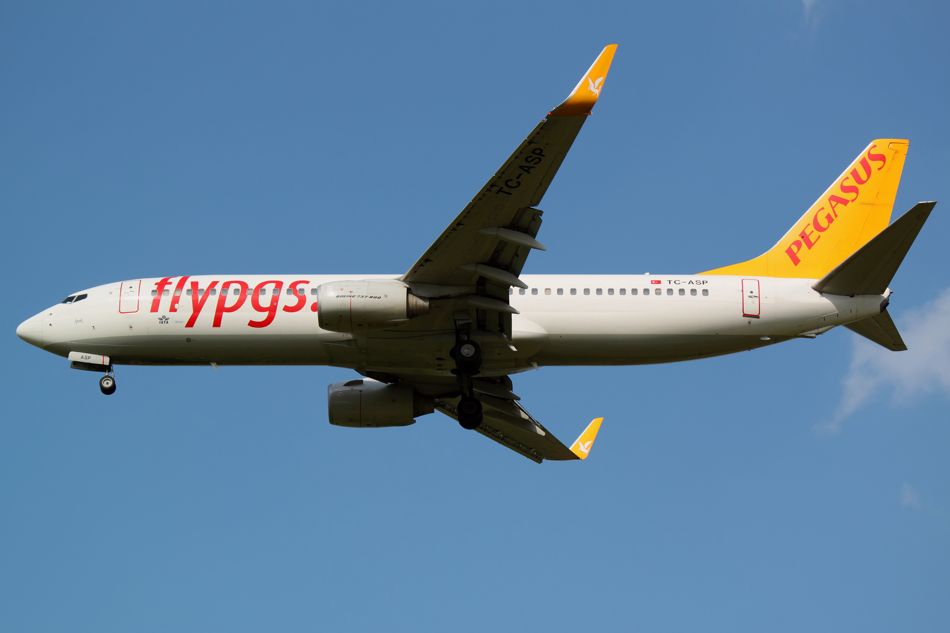 TC-ASP, Pegasus Airlines (Samoloty » Spotting na EPWA » Boeing 737-800)