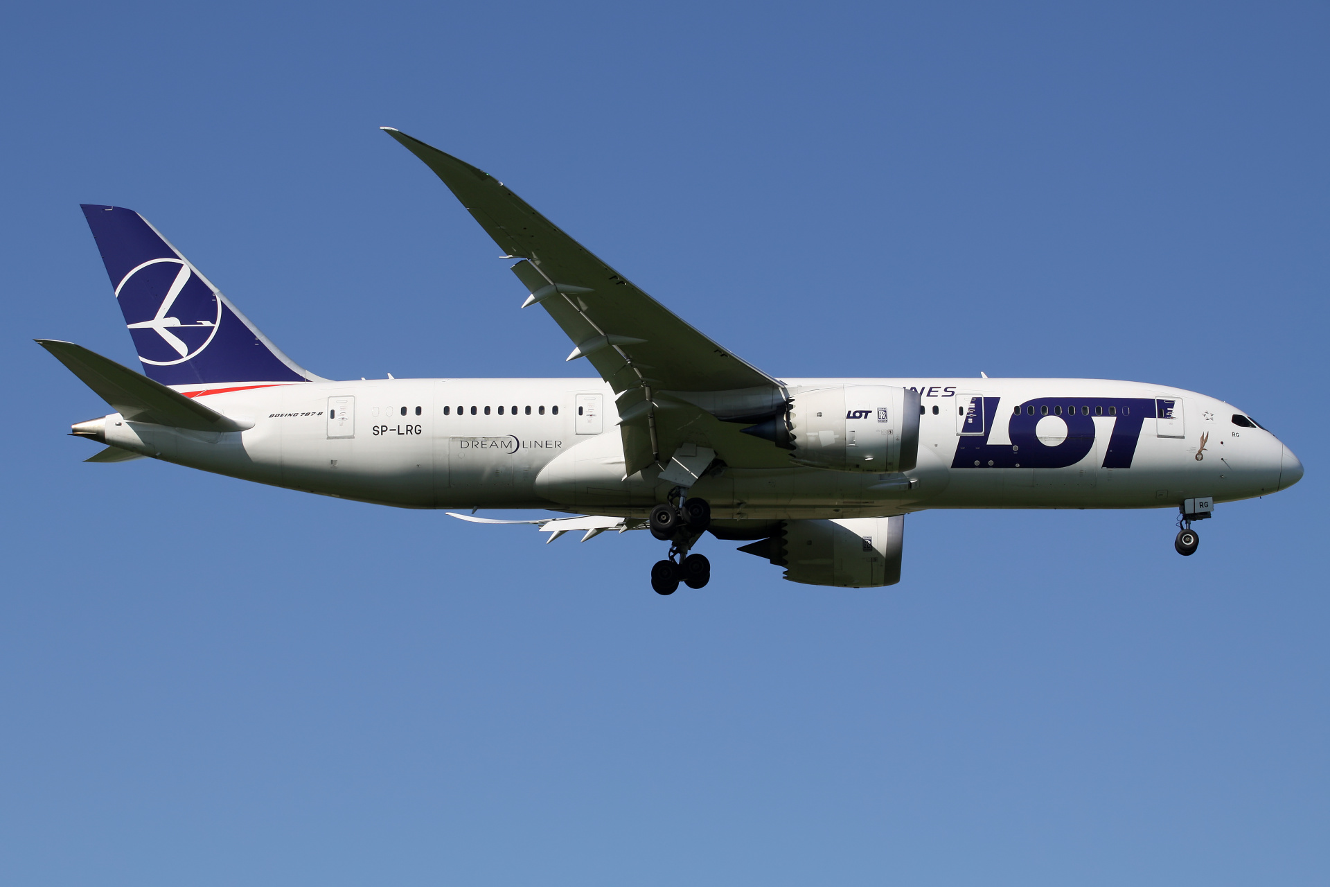 SP-LRG ("Silent and Unseen - Cichociemni" sticker (Aircraft » EPWA Spotting » Boeing 787-8 Dreamliner » LOT Polish Airlines)