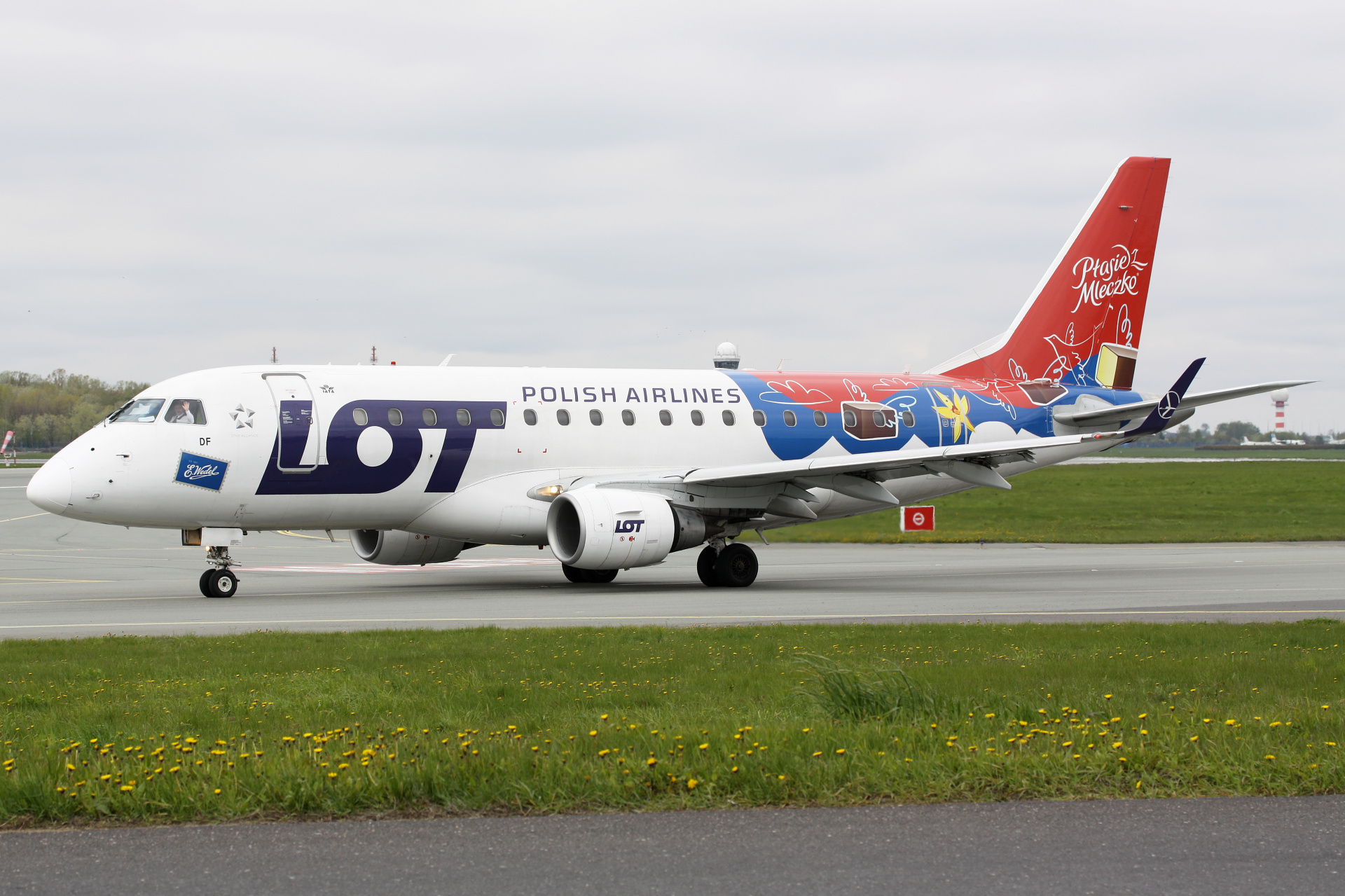 SP-LDF (malowanie Wedel Ptasie Mleczko) (Samoloty » Spotting na EPWA » Embraer E170 » Polskie Linie Lotnicze LOT)