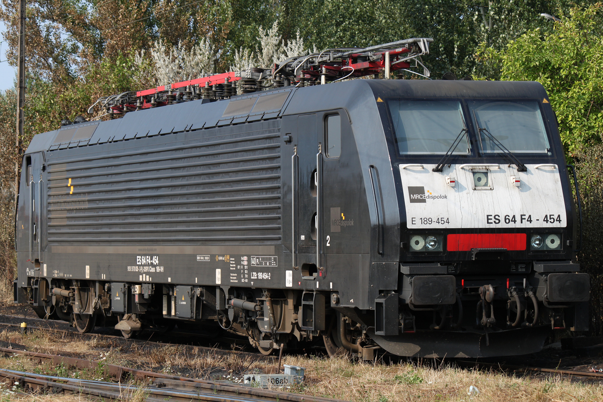 Siemens EuroSprinter ES64F4 E189-454, MRCE Dispolok (Vehicles » Trains and Locomotives)