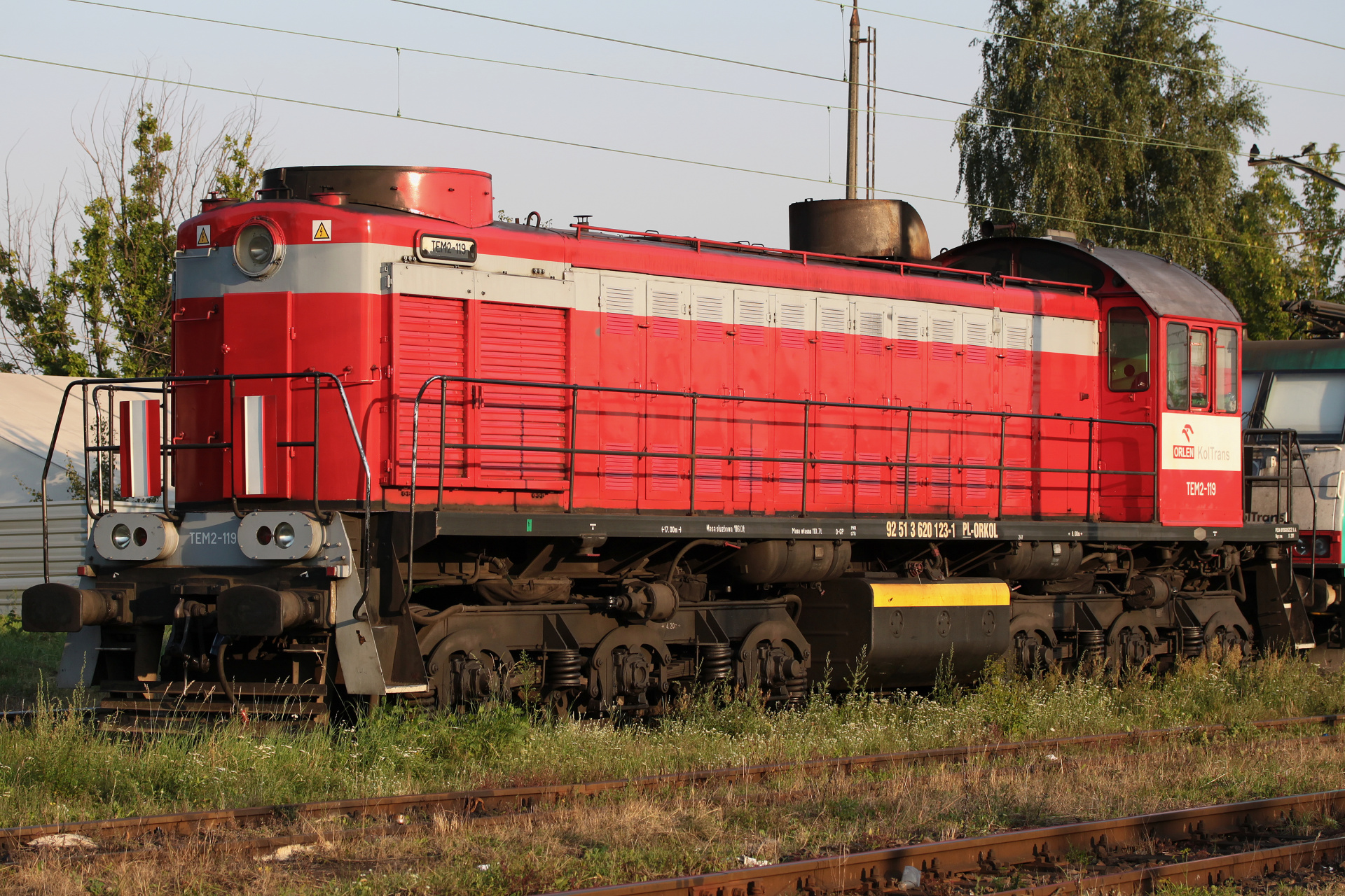 БМЗ/ЛТЗ TEM2-119 (Vehicles » Trains and Locomotives)