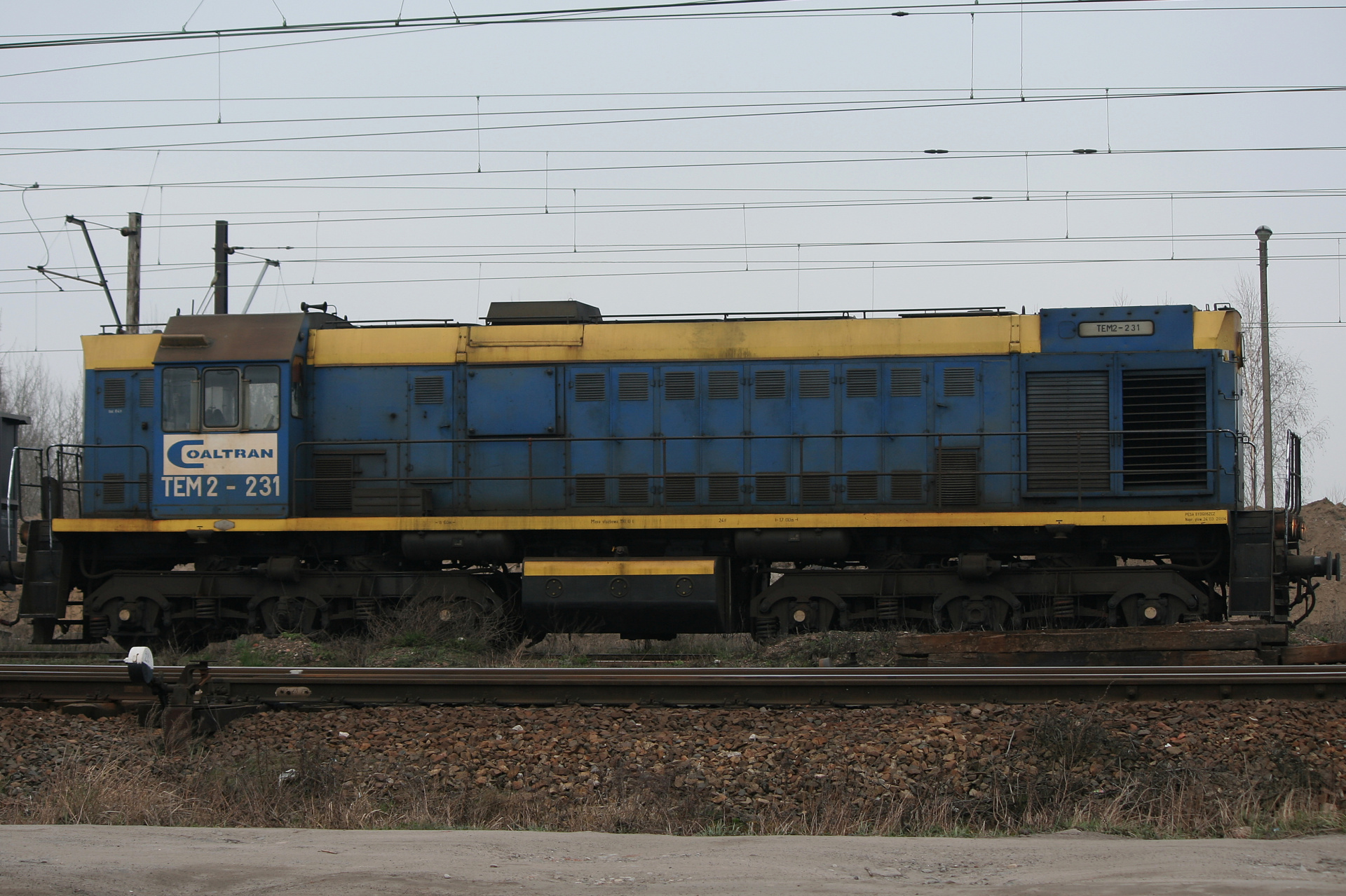 БМЗ/ЛТЗ TEM2-231 (Pojazdy » Pociągi i lokomotywy)