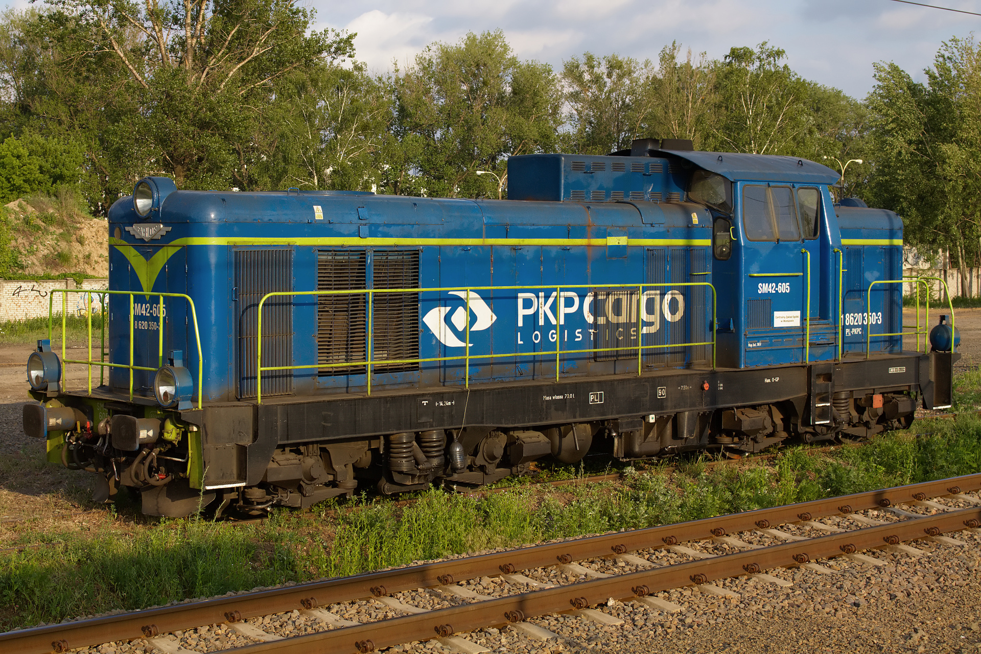 SM42-605, PKP Cargo (Vehicles » Trains and Locomotives » Fablok Ls800 6D)
