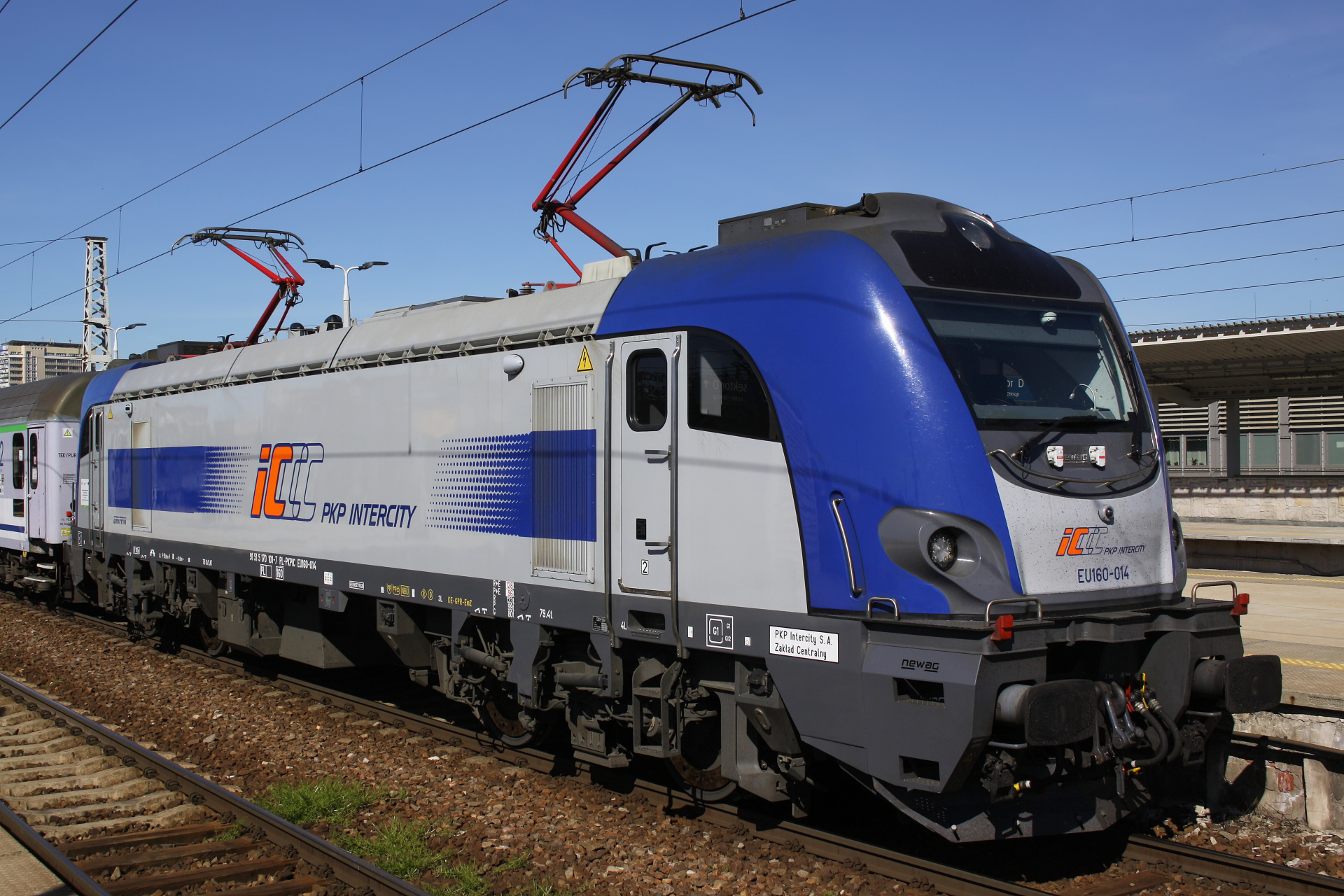 E4DCU EU160-014 (Vehicles » Trains and Locomotives » Newag Griffin » PKP Intercity)