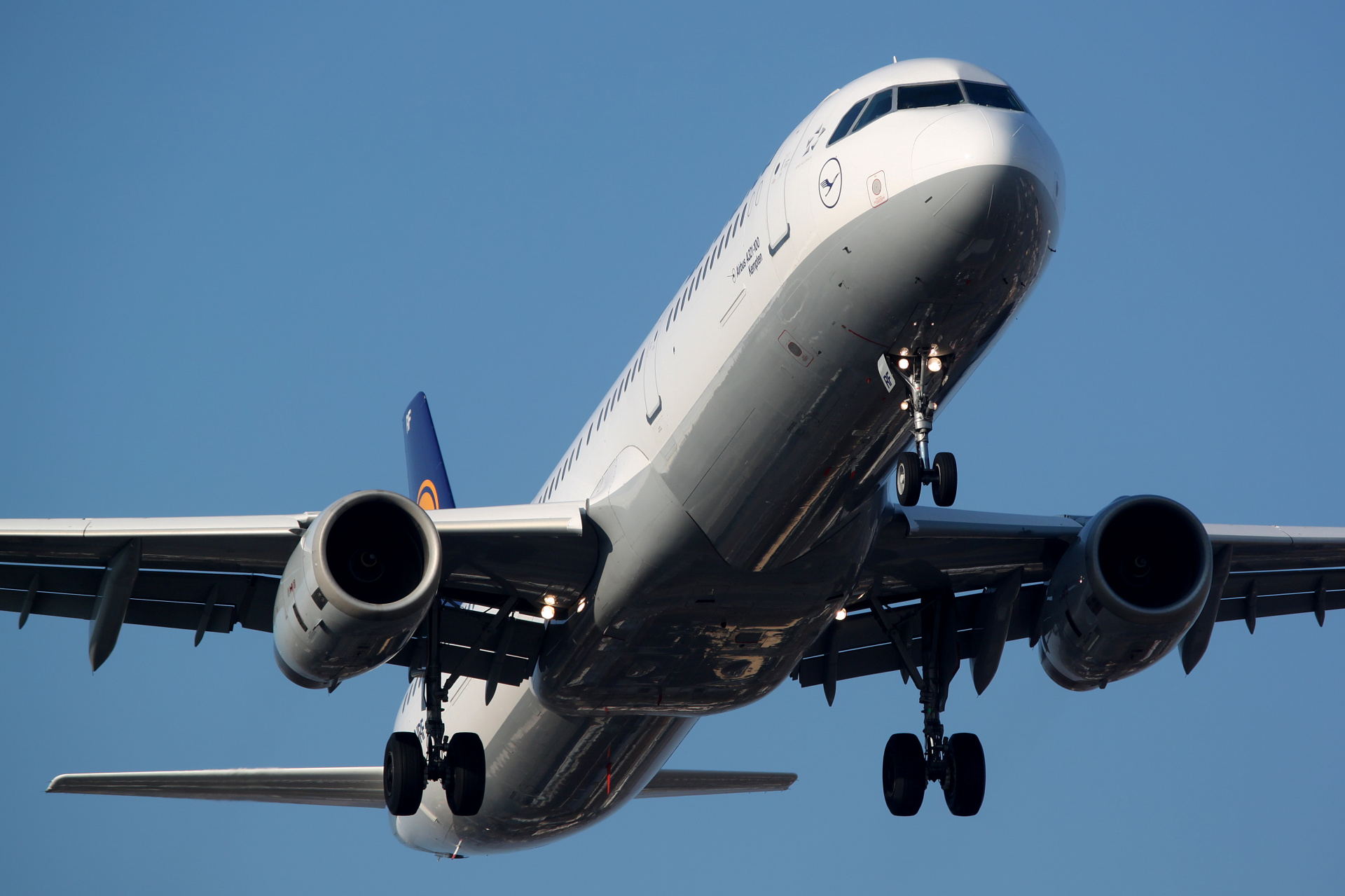 D-AIRF (Aircraft » EPWA Spotting » Airbus A321-100 » Lufthansa)