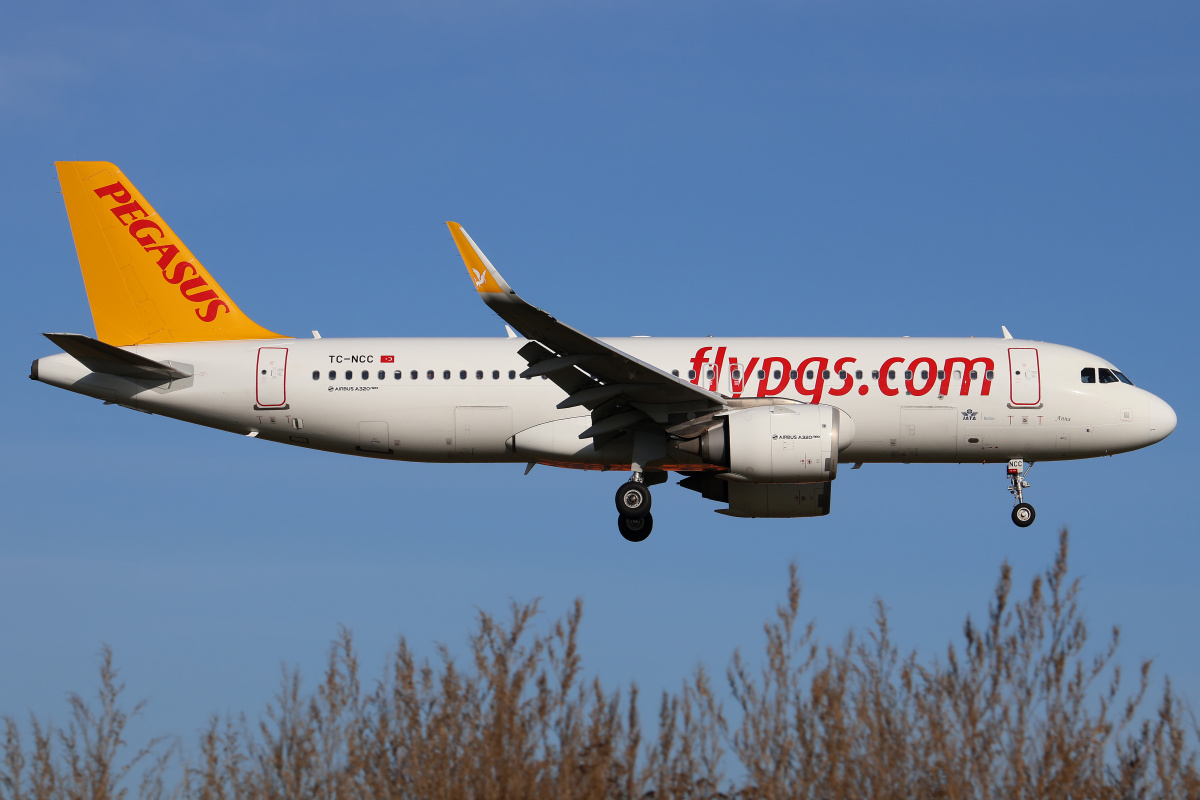 TC-NCC (Aircraft » EPWA Spotting » Airbus A320neo » Pegasus Airlines)