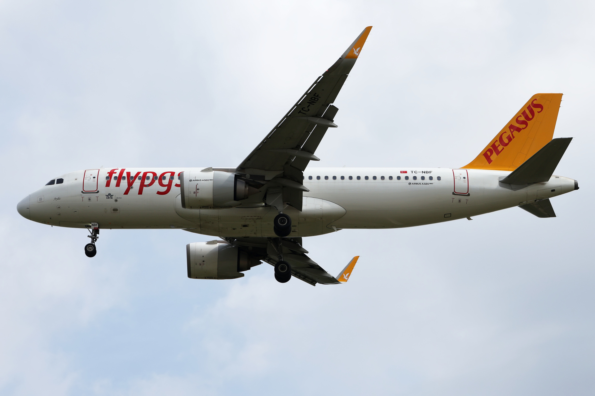 TC-NBF (Samoloty » Spotting na EPWA » Airbus A320neo » Pegasus Airlines)