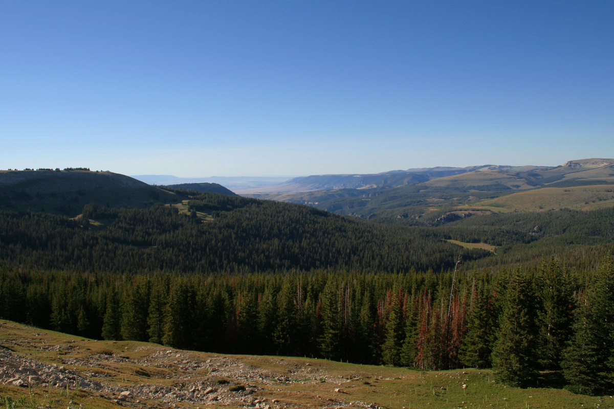 Pólnocny widok z drogi (Podróże » USA: Na ziemi Czejenów » Wielka Podróż » Bighorn Mountains » Medicine Wheel)