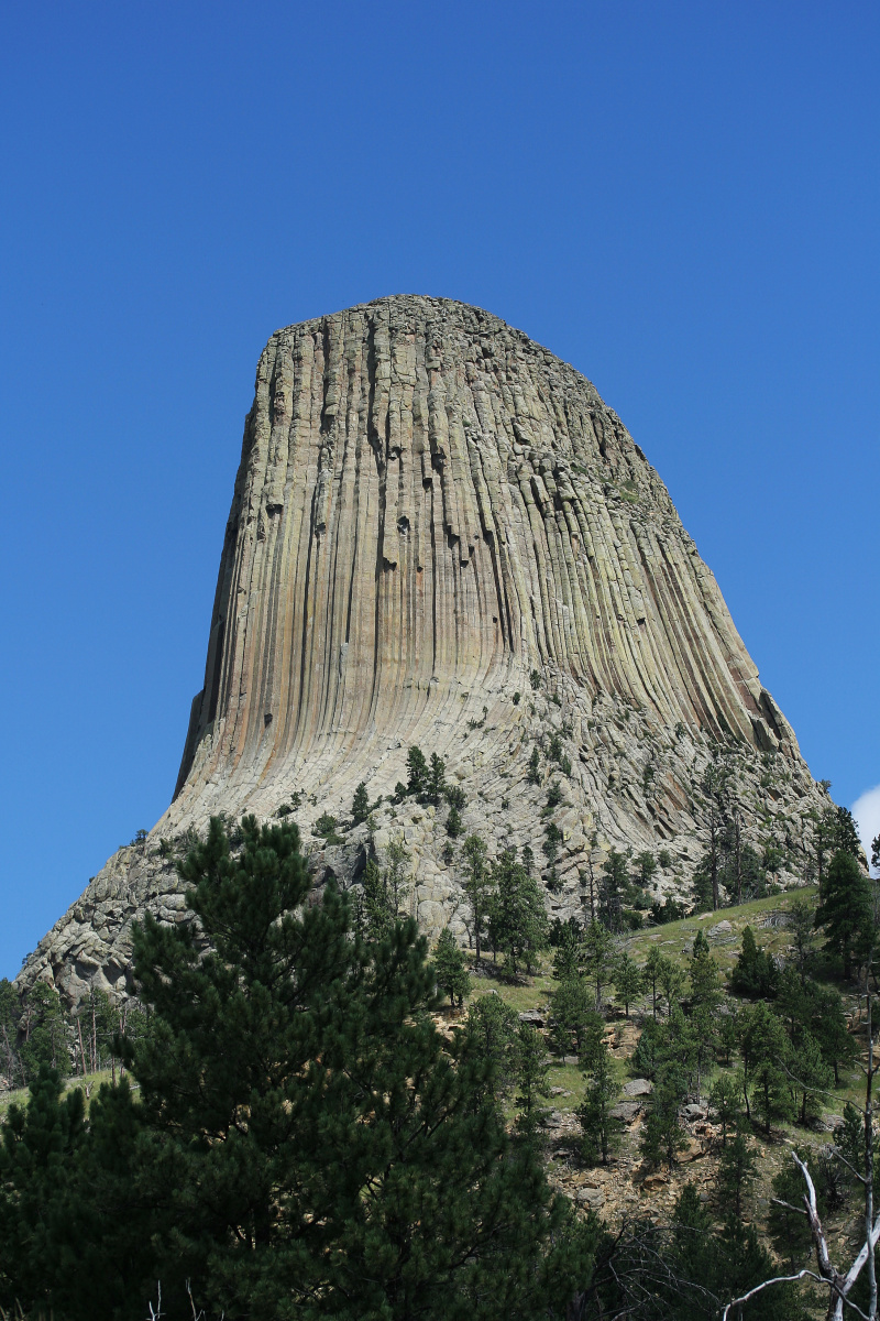 Niedźwiedzie mieszkanie (Podróże » USA: Na ziemi Czejenów » Wielka Podróż » Devils Tower)