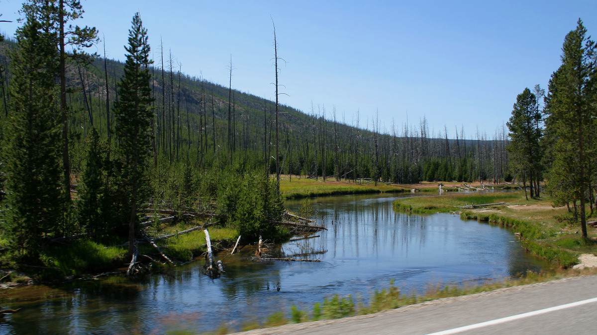 Gibbon River