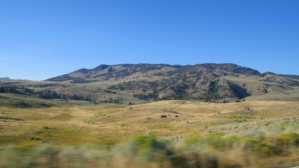 Near Junction Butte (Travels » US Trip 1: Cheyenne Country » The Journey » Yellowstone National Park)