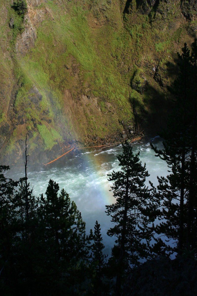 Upper Falls (Podróże » USA: Na ziemi Czejenów » Wielka Podróż » Park Narodowy Yellowstone » Wodospady)