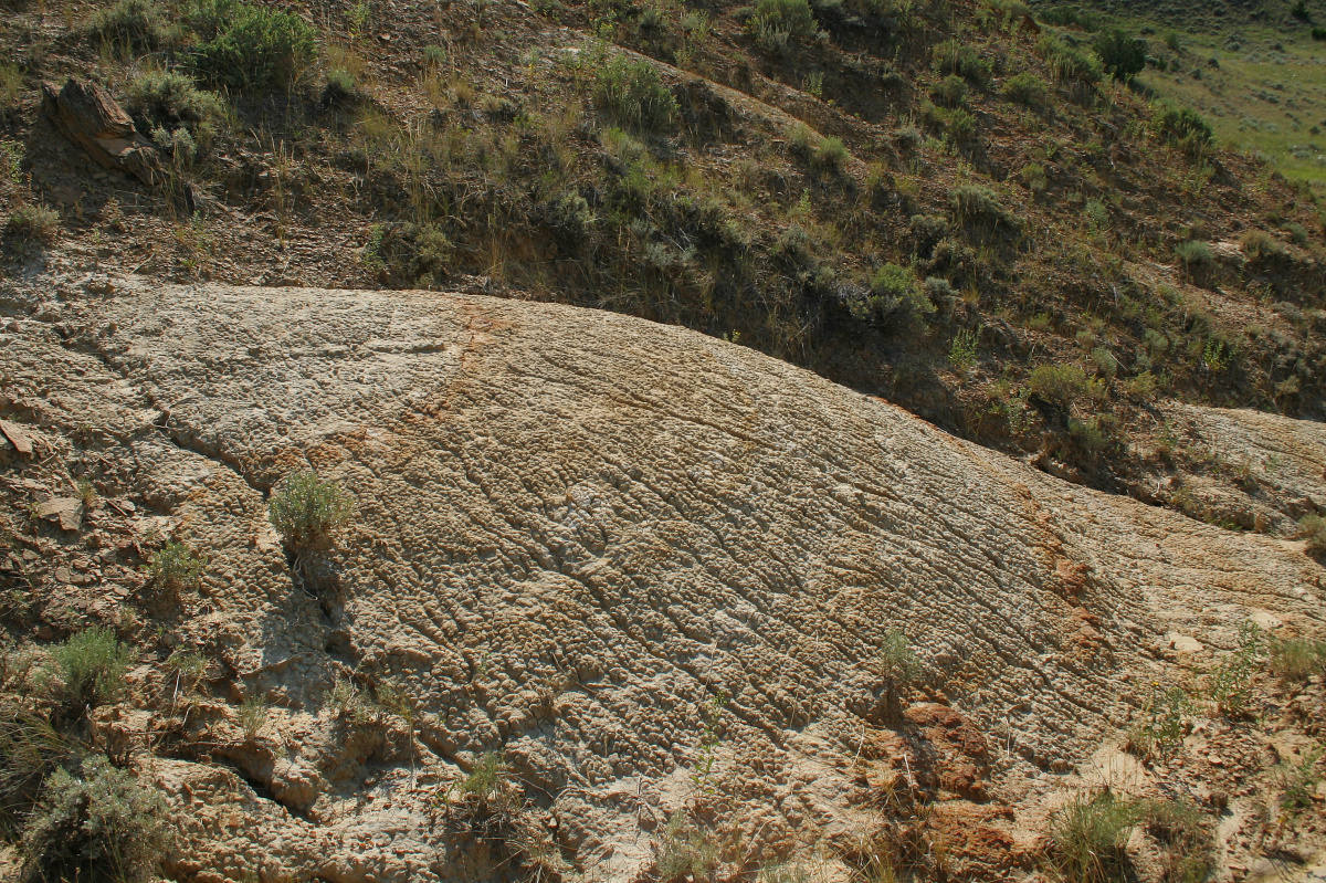 Carved Stone (Travels » US Trip 1: Cheyenne Country » The Rez » Ashland, Tongue River and Logging Creek)