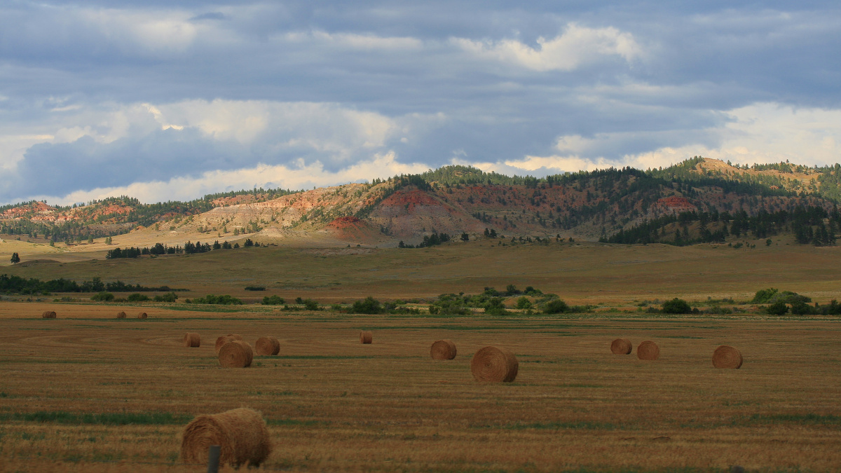 Hills and Fields by the Kirby Road