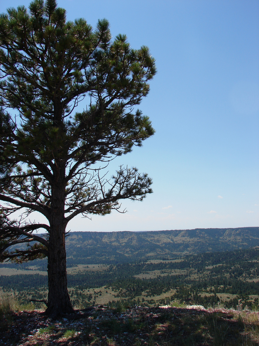 Scale (Travels » US Trip 1: Cheyenne Country » The Rez » Kelty Ridge)